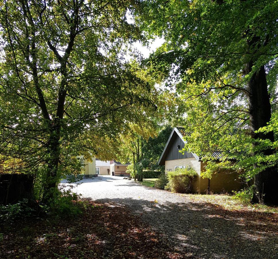 Pederstrup Bed And Breakfast Torrig Exteriör bild